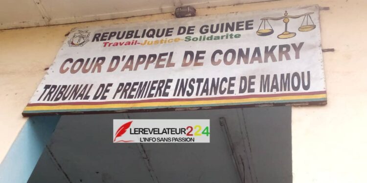TPI de Mamou: Le procès de la sage-femme Aminata Camara encore renvoyé