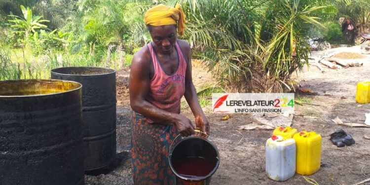 Interdiction de l‘exportation de l’huile rouge : le cri de cœur des producteurs de Gbouo, à N&rsquo;Zérékoré