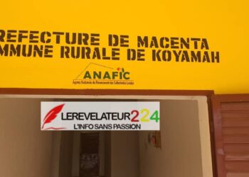 Koyamah/Macenta: le président de la délégation spéciale contesté par des citoyens