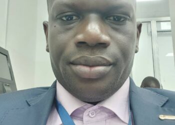 La Guinée est victime des dispositions de son propre code minier et de son manquement : Quelles solutions fiscales pour le projet Simandou ?