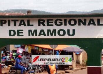 Axe routier Mamou-Dabola : Un motard écrasé par un minibus dans un accident de la circulation