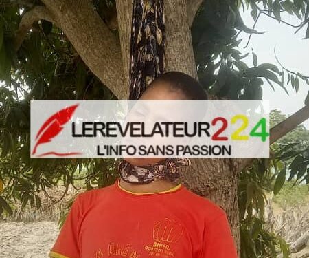 SIGUIRI: Une femme se donne la mort par pendaison à Djomabana