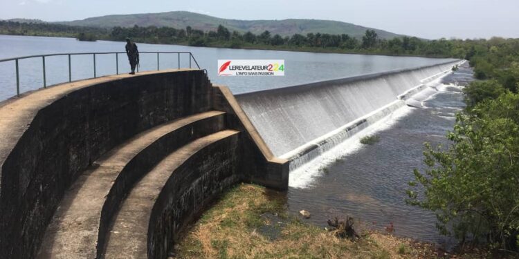 KINDIA: Lancement de la campagne de restauration de 50 hectares de têtes de sources des barrages hydroélectriques