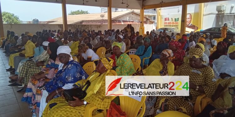 17 mai 1991-17 mai 2024: la Jeunesse du RPG commémore la date marquant le retour historique d’Alpha Condé en Guinée