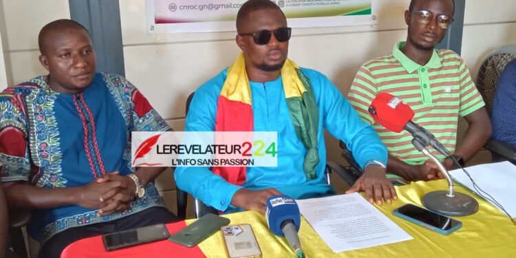 Retrait des agréments de FIM, Djoma médias, Espace et Sweet FM : la Coalition nationale pour le retour à l’ordre constitutionnel interpelle le CNRD à revoir sa décision (Communiqué)