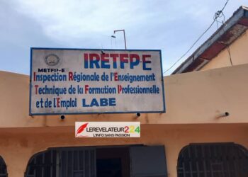 KINDIA: 107 cartons de médicaments saisis par la douane