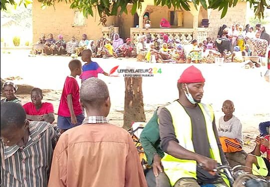 URGENT/Kissidougou : Un paysan trouve la mort en chutant d’un palmier à Faramakoura