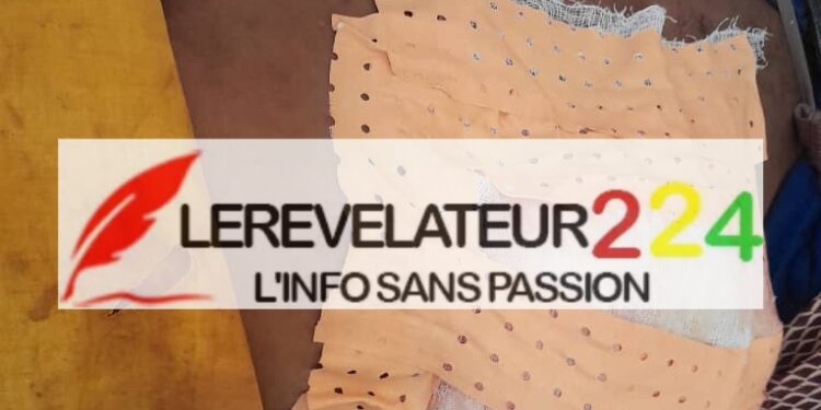 KINDIA : Une délégation de la HAC séjourne dans la ville des agrumes