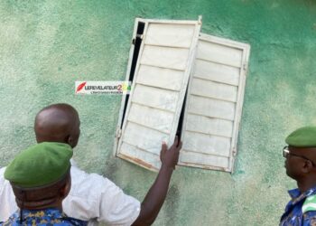 A la rencontre d’Amadou Chico Cissoko, entrepreneur agricole: ‘’Ma vision, c’est de faire de la Guinée, une puissance mondiale dans le secteur de l’agriculture’’