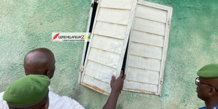 A la rencontre d’Amadou Chico Cissoko, entrepreneur agricole: ‘’Ma vision, c’est de faire de la Guinée, une puissance mondiale dans le secteur de l’agriculture’’