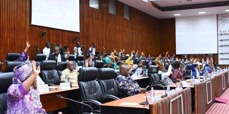 Accès à l’électricité en Guinée-Forestière: le CNT ratifie un important accord