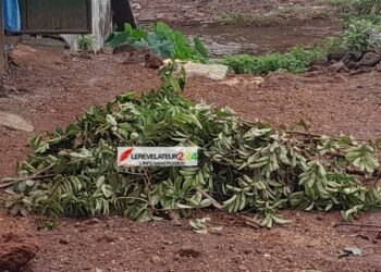 Conakry : Un homme d&rsquo;une trentaine d&rsquo;années retrouvé mort à Keitayah, après une pluie diluvienne
