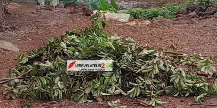 Conakry : Un homme d&rsquo;une trentaine d&rsquo;années retrouvé mort à Keitayah, après une pluie diluvienne
