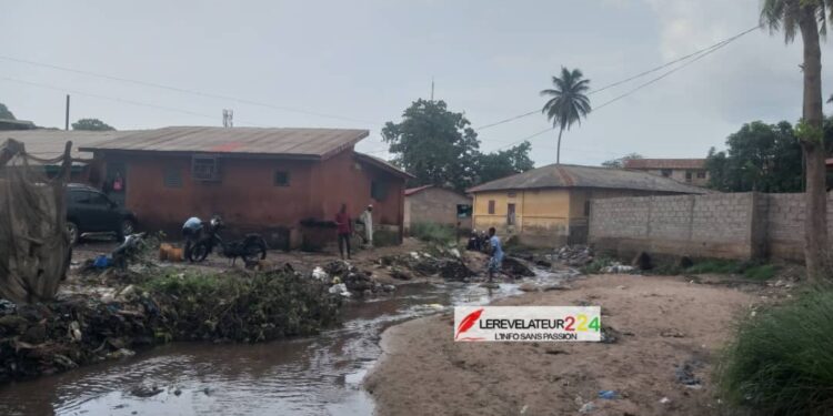 KINDIA: la pluie fait encore des dégâts