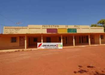 Mali Yembering: Un déréglé mental égorge son neveu en pleine brousse
