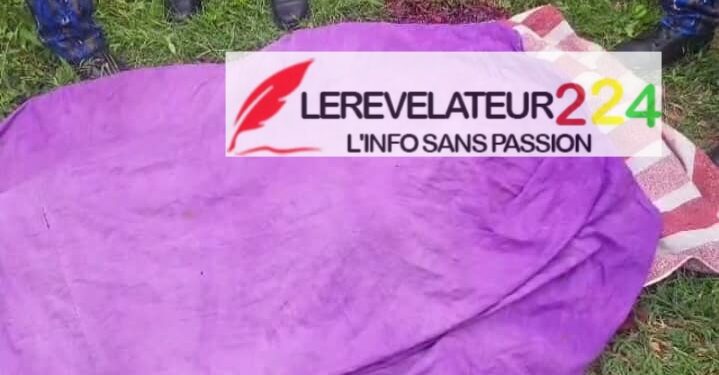 KANKAN: Un jeune poignardé à mort par son propre grand frère