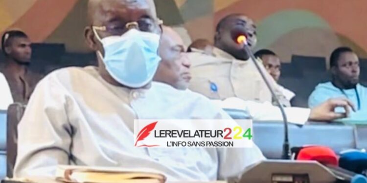 Suspension des activités minières artisanales en Guinée : les Orpailleurs de Siguiri dénoncent une « décision pénible »