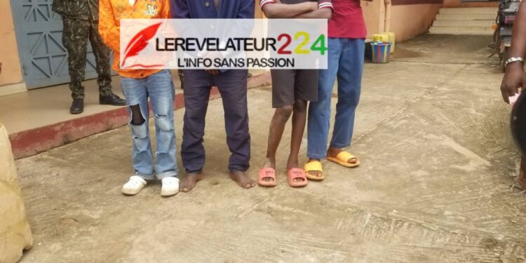 Permis de conduire, carte grise : Vers la date butoir, avant l’entrée en action de la police routière…