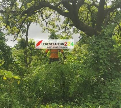 SIGUIRI: Un accident de la circulation fait plusieurs victimes sur la route Guinée-Mali