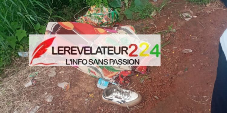 KANKAN: le corps sans vie d’un ressortissant Malien découvert sur le long du fleuve Milo