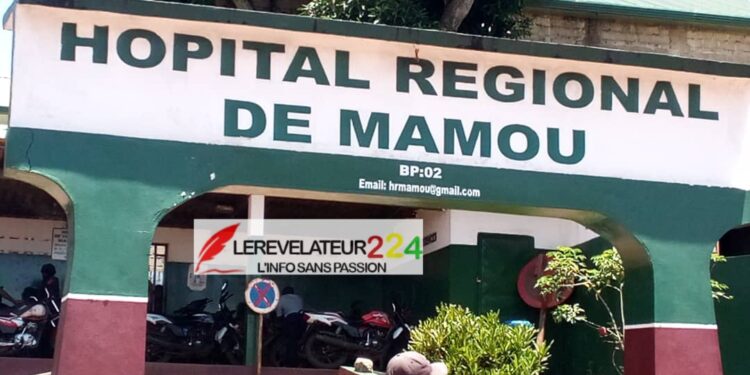 MAMOU: Un commerçant victime d&rsquo;une attaque à main armée…