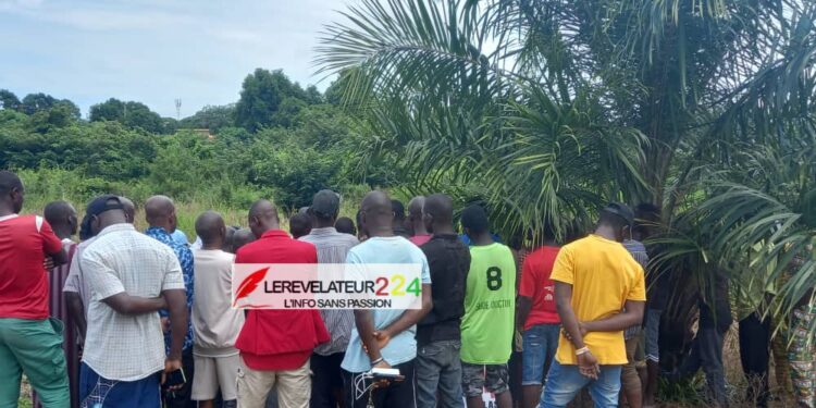 Journée ville morte des FVG : Réactions de quelques citoyens du Grand Conakry