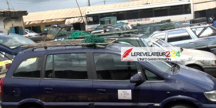 Renouvellement des documents de conduire: les transporteurs adressent une doléance au Gouvernement