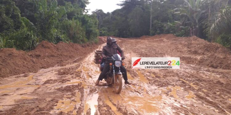Région forestière: De Koyamah à Silissou, c’est l’enfer pour les usagers de la route 
