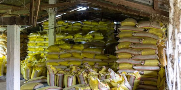Découverte d&rsquo;une quantité importante de riz blanc impropre à la consommation dans une ferme, à Manéah/ Bentourayah: Pourquoi le silence des autorités sur l&rsquo;identité du propriétaire ?