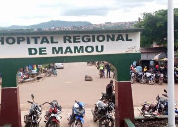 Guinée, une économie en otage : L’heure de l’éveil citoyen face aux pratiques prédatrices de Moussa Cissé et Karamo Kaba (Opinion)