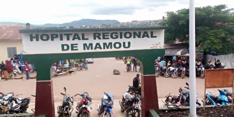 Guinée, une économie en otage : L’heure de l’éveil citoyen face aux pratiques prédatrices de Moussa Cissé et Karamo Kaba (Opinion)