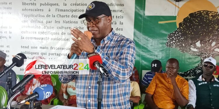 Dr. Fodé Oussou Fofana à certains cadres du parti qui s&rsquo;attaquent à l&rsquo;UFDG: ‘’les gens qui parlent sur les réseaux sociaux, ne seront pas exclus’’