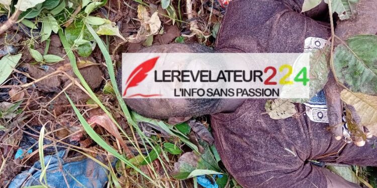 SIGUIRI: Un corps sans vie retrouvé aux abords d’un fleuve à rouni