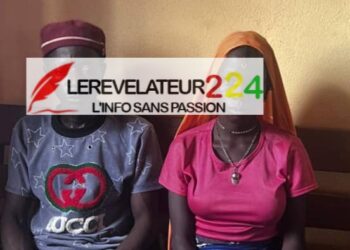 Les dynamiques sociales et leur influence politique (Par Mamadou Barry)