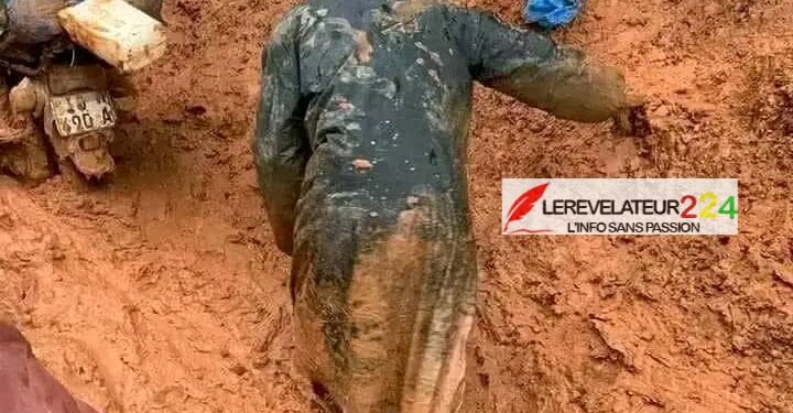 Région forestière : la sous-préfecture de Diécké coupée du reste de la Guinée…