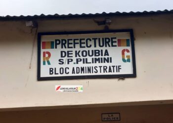 KOUBIA : Un enfant tue sa sœur à Bansouma…