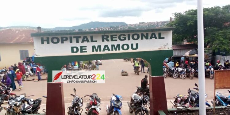Fédération UFDG Labé : la présidente des femmes pique une colère noire contre une militante qui crée un mouvement de soutien au CNRD
