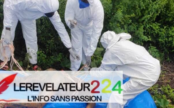 Rentrée scolaire 2024-2025: Le secrétaire général de la FSPE adresse un message aux parents d&rsquo;élèves