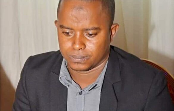 ZMAO, Monnaie commune Ouest africaine : Utopie ou réalité (Par Abdoulaye GUIRASSY, économiste)