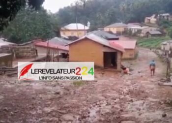 Tribune : Construire la Guinée sur les Idéaux de Son Peuple pour un Avenir Durable