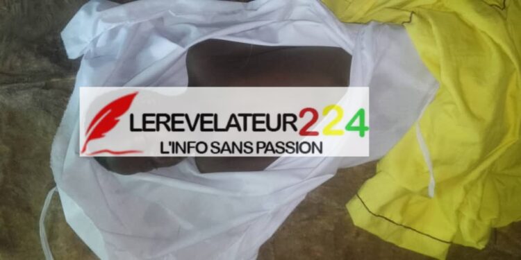 Jeune de Guinée, réveille-toi et contribue à relever le niveau du débat citoyen (Par Alseny Sall)