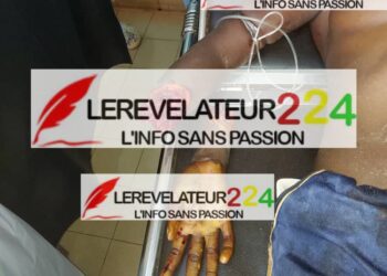 Dr. Bangoura du PUDIC : ‘’Aucun parti n&rsquo;est appendicite du pouvoir…nous jouons notre rôle’’