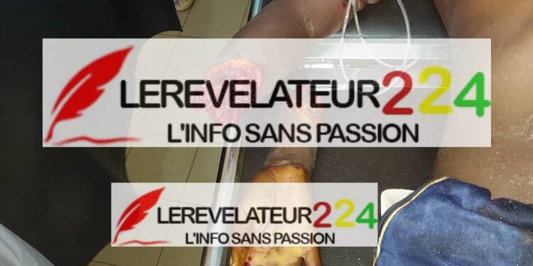 Dr. Bangoura du PUDIC : ‘’Aucun parti n&rsquo;est appendicite du pouvoir…nous jouons notre rôle’’