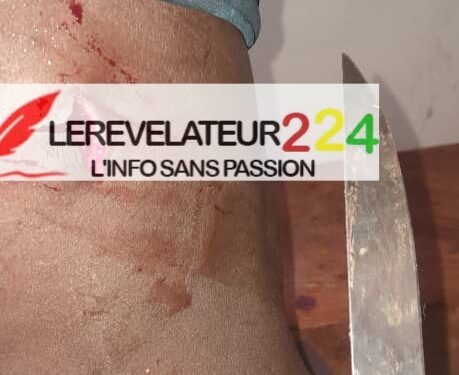Rapport d’évaluation des partis politiques: Une manœuvre pour créer la diversion (Par Alpha Bayo)