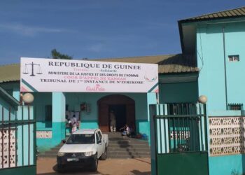 TPI de N’Zérékoré : Accusés dans une affaire de viol sur une vieille de 75 ans, Richard Benjamin Balamou et Joseph Saoromou écopent de lourdes peines