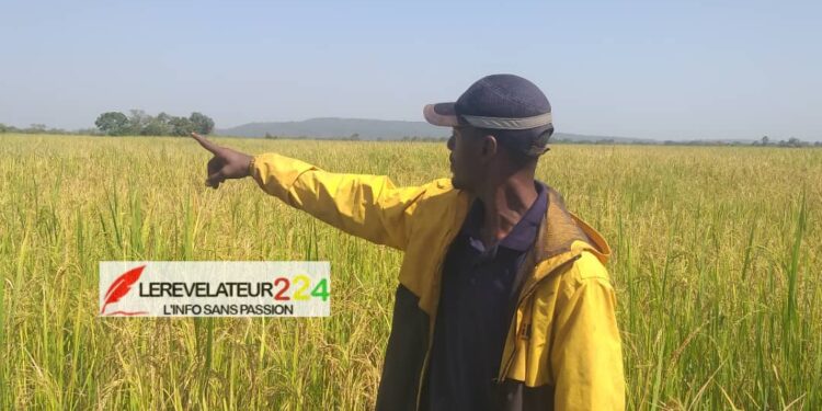 Mouctar Kalissa Diaby : ‘’Ils demandent le reçu du paiement de 800 millions pour la candidature du président Sidya à l’élection présidentielle’’