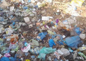 Conakry : l’insalubrité constitue un véritable casse-tête et un problème de santé publique