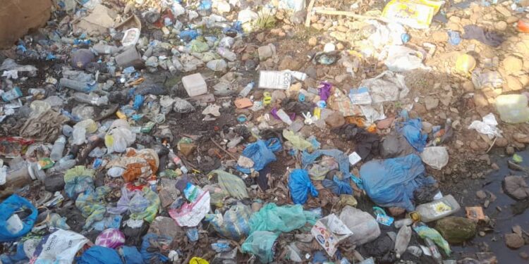 Conakry : l’insalubrité constitue un véritable casse-tête et un problème de santé publique