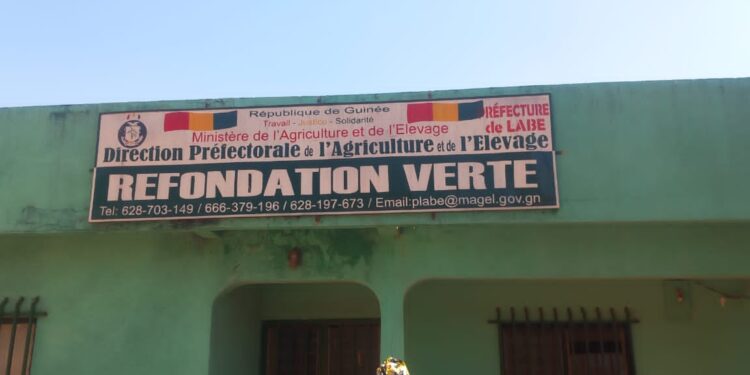 Insécurité grandissante en Guinée : Le BL de Dr Faya Milimouno exprime ses inquiétudes (Déclaration)