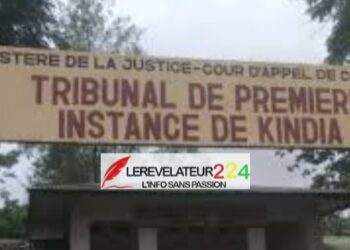 Crise politique en Guinée : L&rsquo;unité comme clé de la résistance face à l&rsquo;oppression